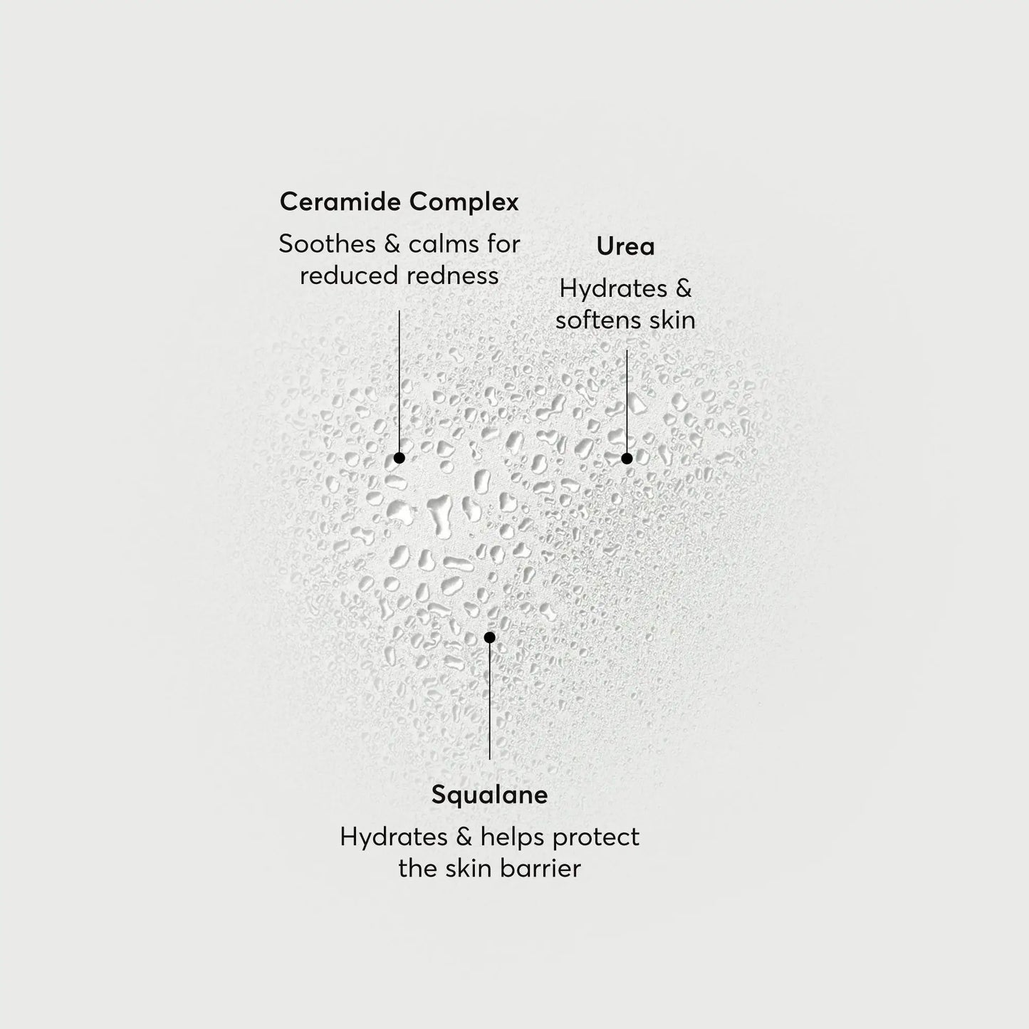 barrier-bounce-bi-phase-mist-d7 NATR-10167-Alt-Images-Barrier-Bounce-Bi-Phase-Toner-Mist_01.webp