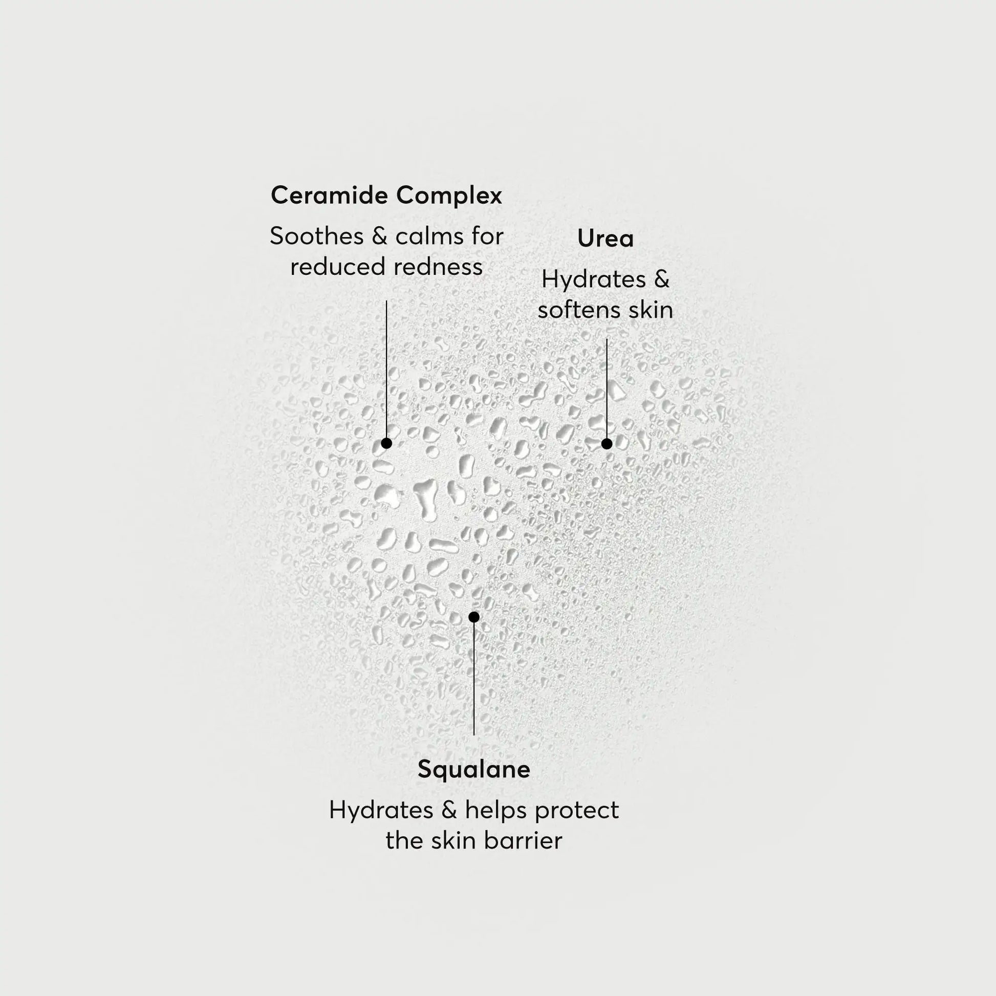 barrier-bounce-bi-phase-mist-d7 NATR-10167-Alt-Images-Barrier-Bounce-Bi-Phase-Toner-Mist_01.webp