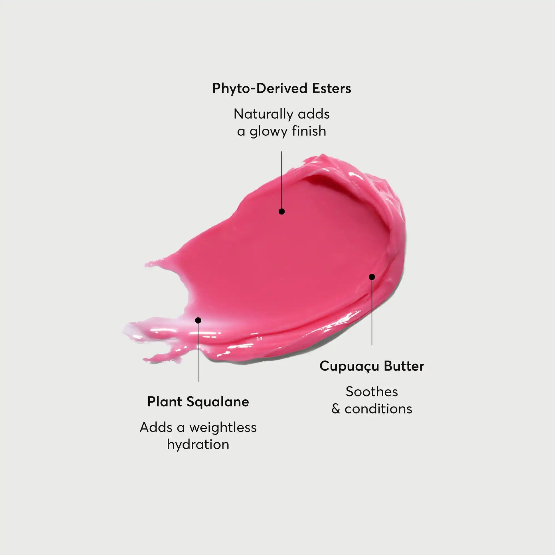 phyto-glow-lip-balm-camellia-v6 NATR-60075-Alt-Images-Phyto-Glow-Lip-Balm-Camellia-01.webp